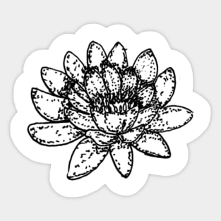 lotus Sticker